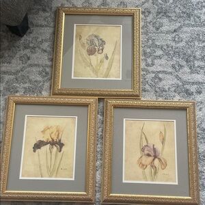 Gold Framed Floral Art Prints Set